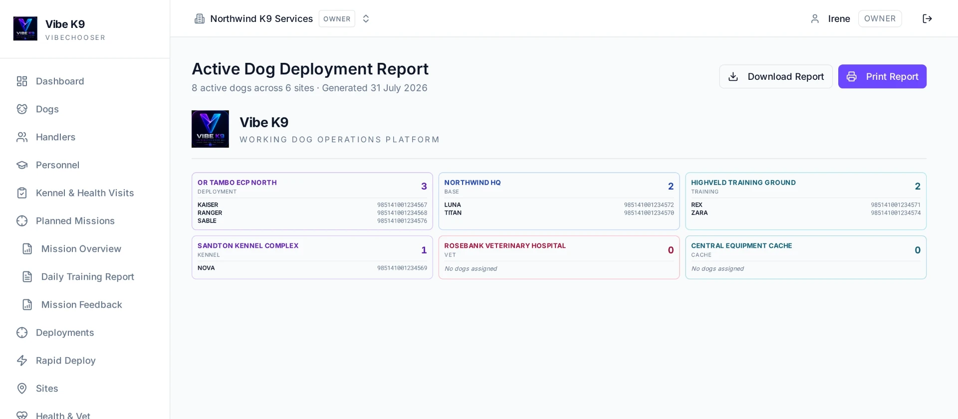 Vibe K9 branded PDF report output